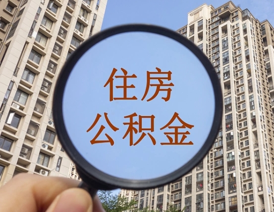 秦皇岛退休后查不到公积金明细了吗（退休后公积金查询不到原因）